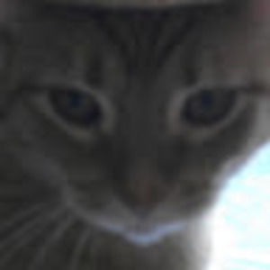 Meet your Posher, Marla